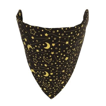 CAMOC_Bright Black Galaxy.JPG