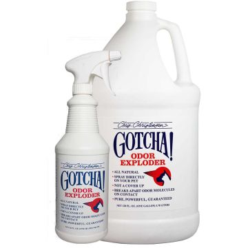 CCGOE_1.default.jpg