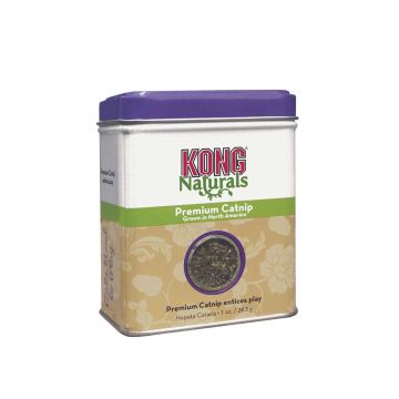KO45015_main-1.jpg