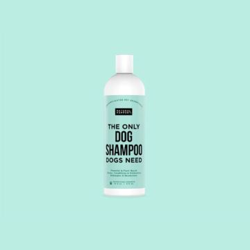 Natural Rapport The Only Dog Shampoo Dogs Need
