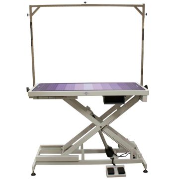 Paw Brothers Super Low-Low Electric Grooming Table